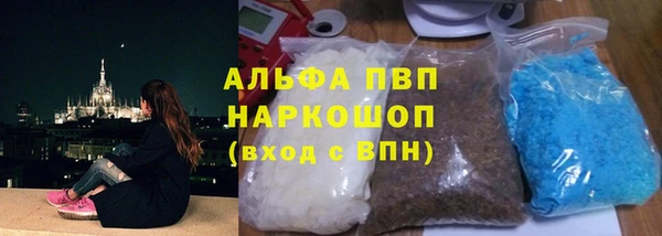 PSILOCYBIN Белокуриха