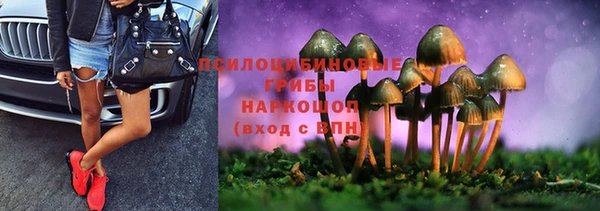 молекула духа Беломорск