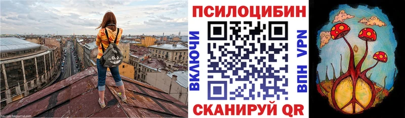 Псилоцибиновые грибы ЛСД сколько стоит kraken рабочий сайт Гулькевичи