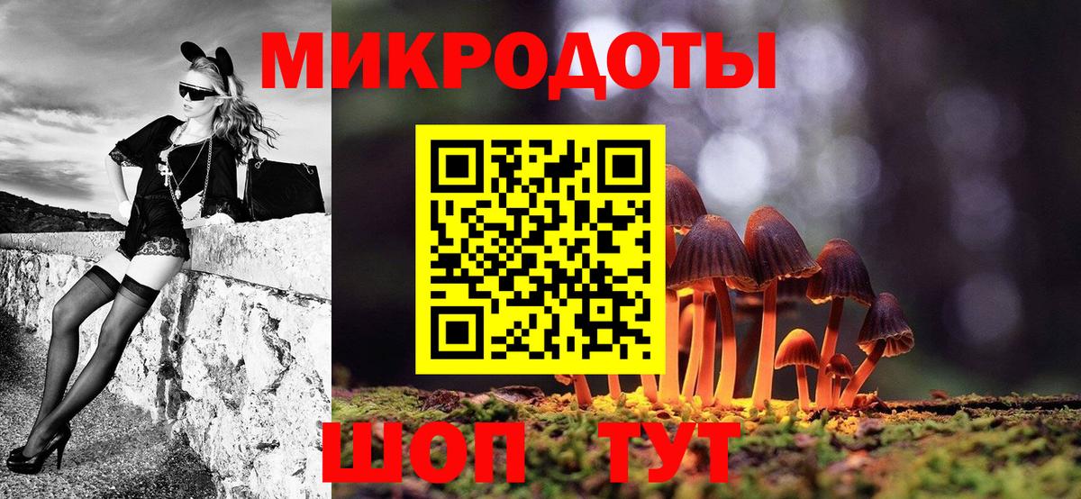 Псилоцибиновые грибы Psilocybe Гулькевичи