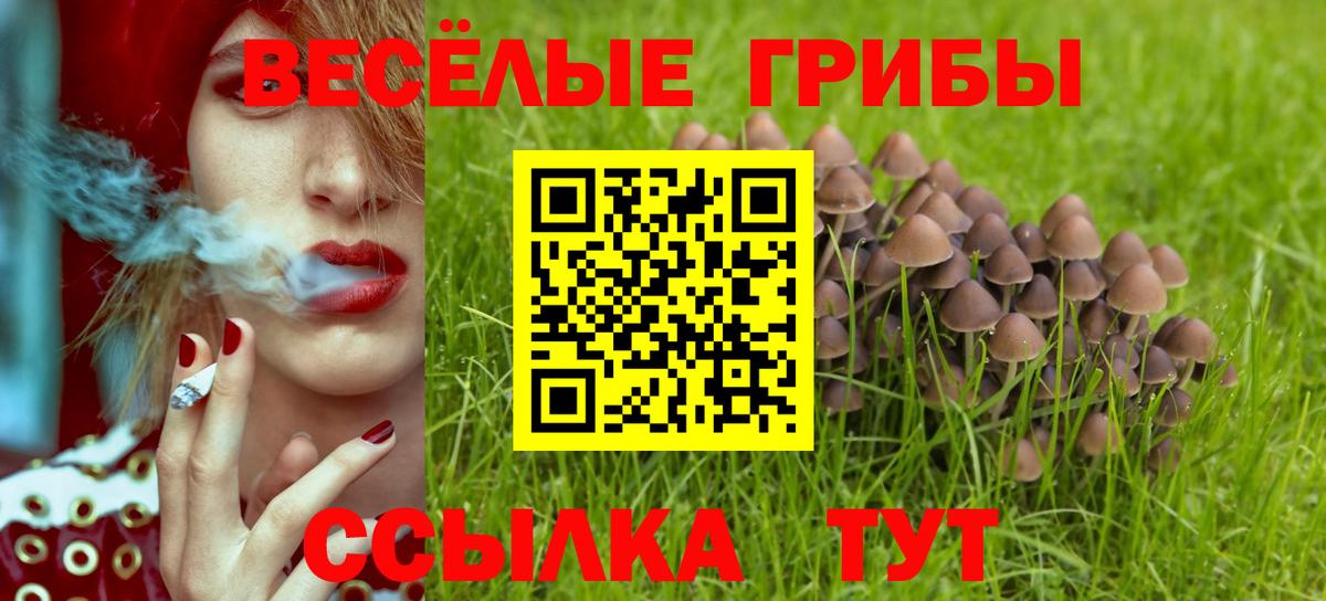 Псилоцибиновые грибы мицелий  Псилоцибиновые грибы Cubensis  Гулькевичи 