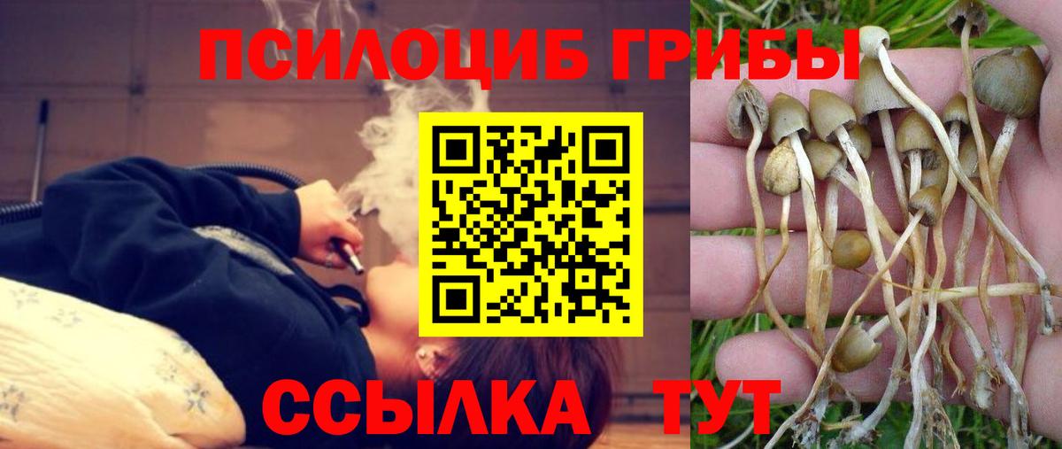 Гулькевичи  Галлюциногенные грибы мицелий  Вход с VPN  Галлюциногенные грибы MAGIC MUSHROOMS 