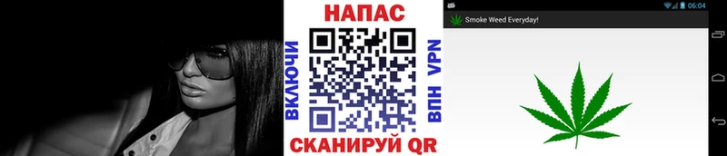 Шишки марихуана Amnesia Гулькевичи
