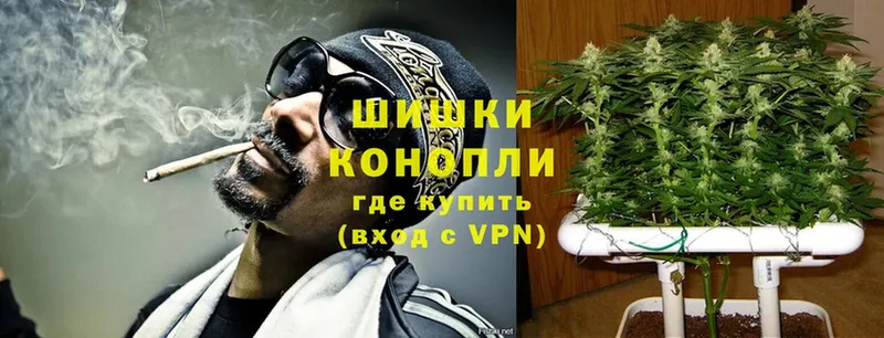 Каннабис OG Kush  blacksprut зеркало  Гулькевичи 